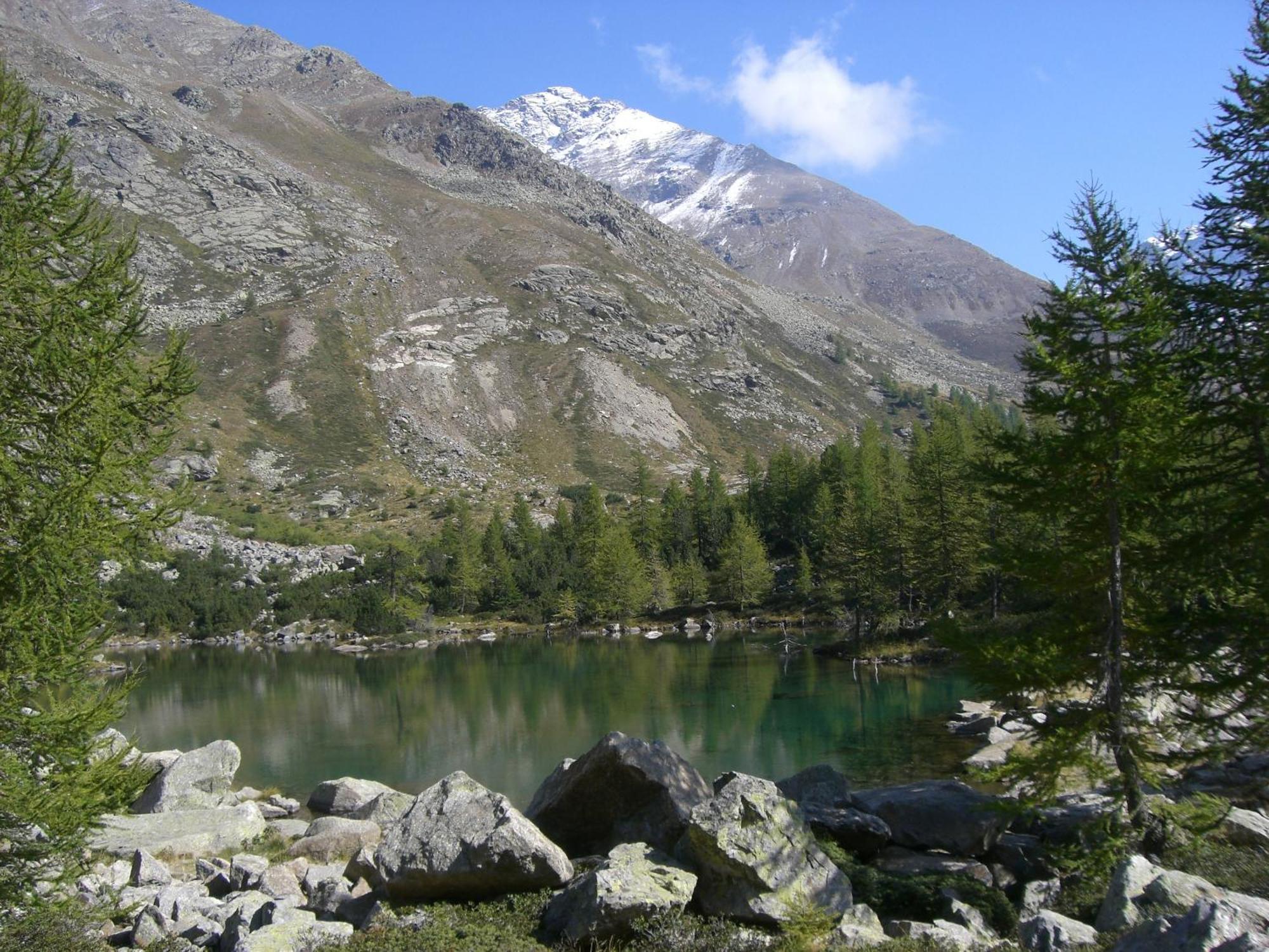 Casa Vacanze Sablonera Bormio Dış mekan fotoğraf